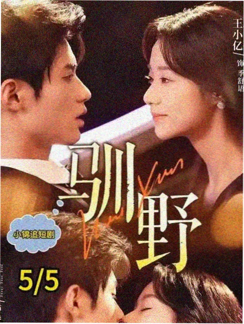 零零影院海报墙归档作品铜棕绳索与两条街海报